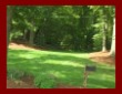 Why Fertilize Lawns?