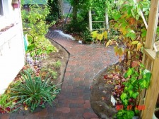 Tree and Shrub Care